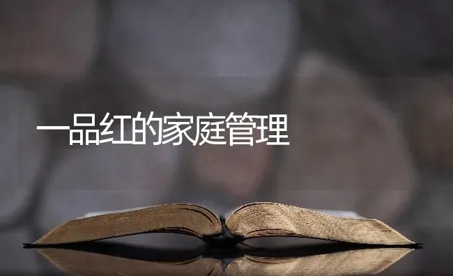 一品红的家庭管理 | 养殖技术大全