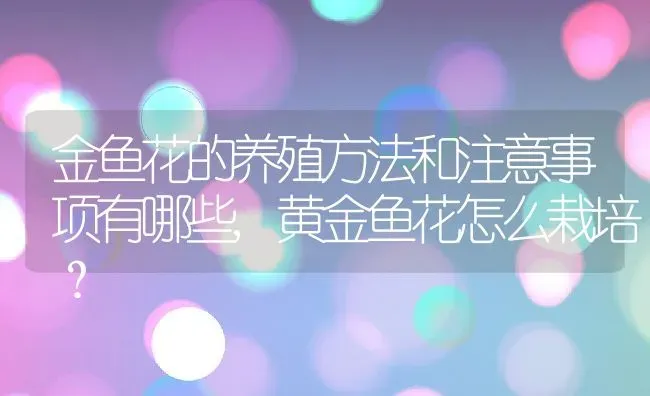 金鱼花的养殖方法和注意事项有哪些,黄金鱼花怎么栽培？ | 养殖科普