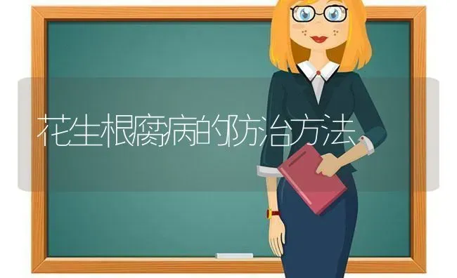 花生根腐病的防治方法 | 养殖技术大全