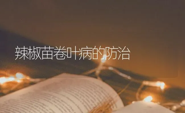 辣椒苗卷叶病的防治 | 养殖技术大全