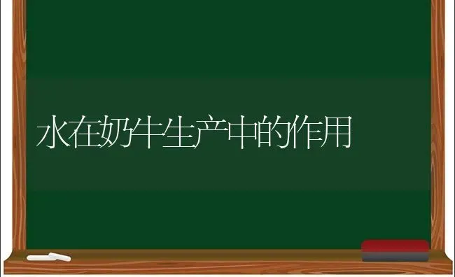 水在奶牛生产中的作用 | 养殖知识