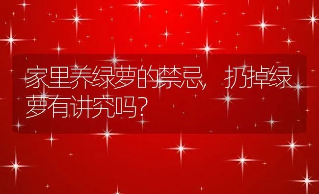 家里养绿萝的禁忌,扔掉绿萝有讲究吗？ | 养殖科普