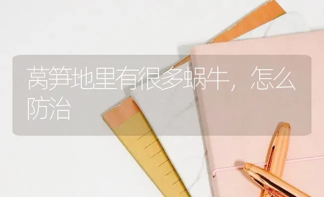 莴笋地里有很多蜗牛,怎么防治 | 养殖技术大全