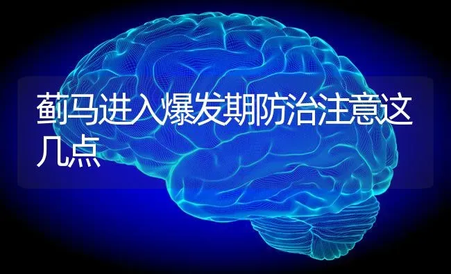 蓟马进入爆发期防治注意这几点 | 养殖技术大全