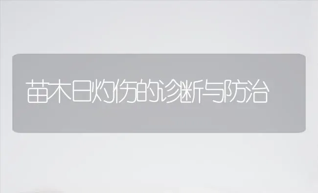 苗木日灼伤的诊断与防治 | 养殖知识