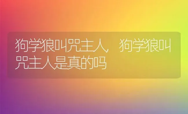 狗学狼叫咒主人,狗学狼叫咒主人是真的吗 | 养殖科普