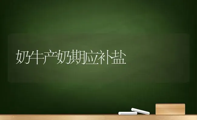 奶牛产奶期应补盐 | 养殖知识