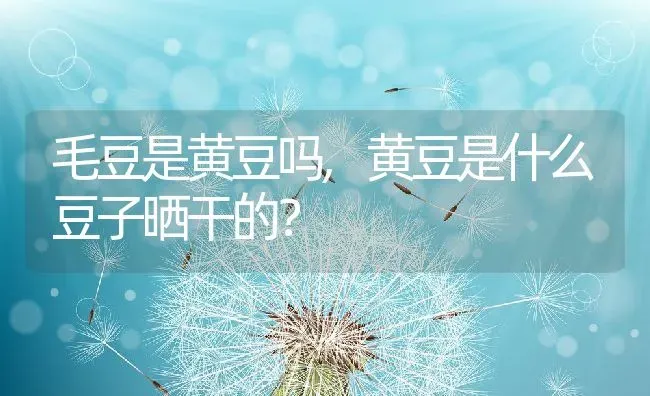 毛豆是黄豆吗,黄豆是什么豆子晒干的？ | 养殖科普