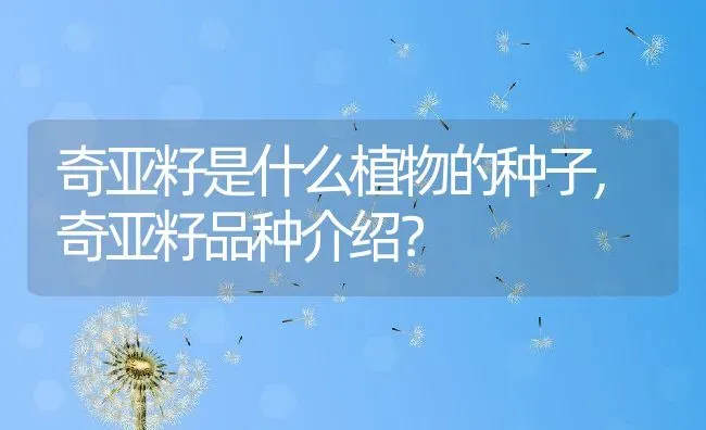 奇亚籽是什么植物的种子,奇亚籽品种介绍？ | 养殖科普