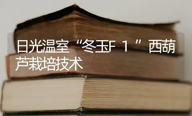 日光温室“冬玉F1”西葫芦栽培技术 | 养殖技术大全