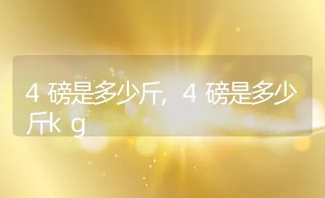 4磅是多少斤,4磅是多少斤kg | 养殖科普