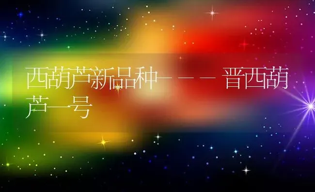 西葫芦新品种---晋西葫芦一号 | 养殖技术大全