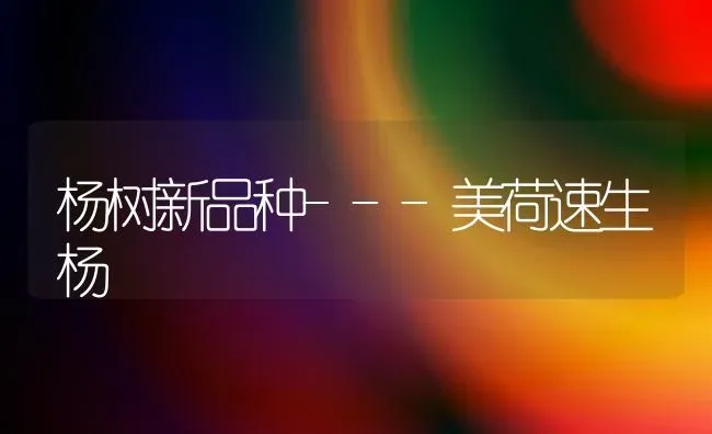 杨树新品种---美荷速生杨 | 养殖技术大全