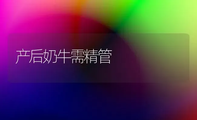 产后奶牛需精管 | 养殖知识