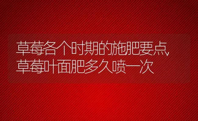 草莓各个时期的施肥要点,草莓叶面肥多久喷一次 | 养殖学堂