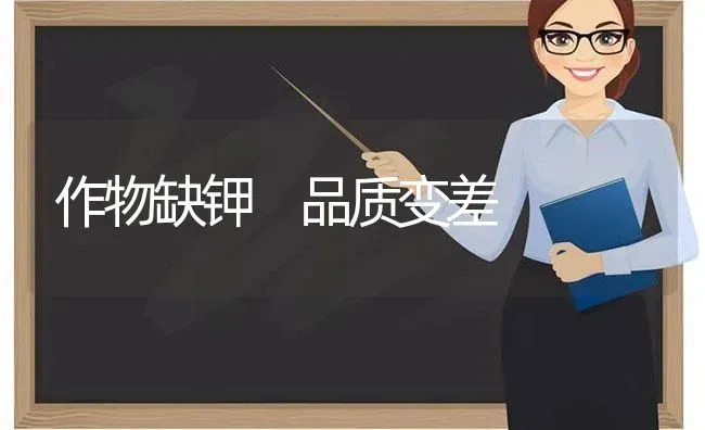 作物缺钾 品质变差 | 养殖技术大全