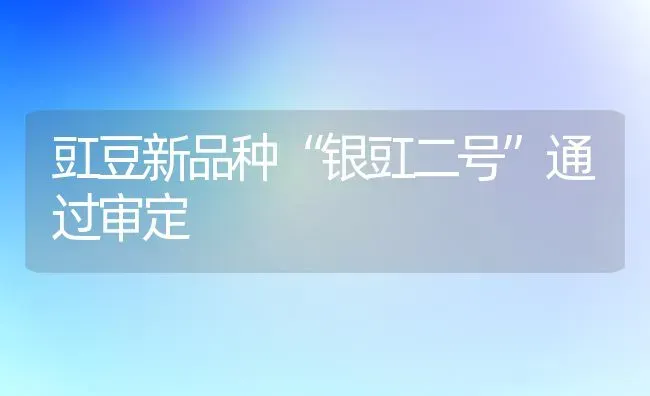 豇豆新品种“银豇二号”通过审定 | 养殖知识