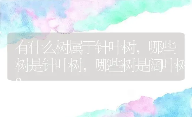 有什么树属于针叶树,哪些树是针叶树，哪些树是阔叶树？ | 养殖科普