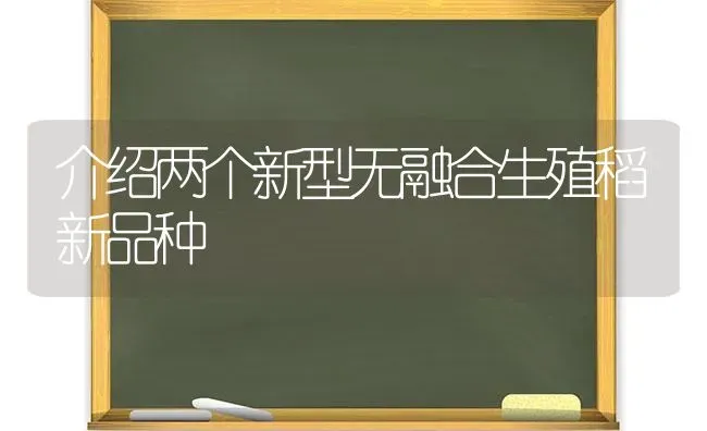 介绍两个新型无融合生殖稻新品种 | 养殖技术大全