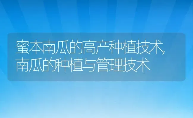 蜜本南瓜的高产种植技术,南瓜的种植与管理技术 | 养殖学堂