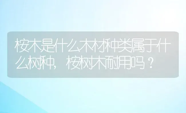 桉木是什么木材种类属于什么树种,桉树木耐用吗？ | 养殖科普