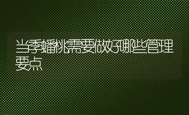 当季蟠桃需要做好哪些管理要点 | 养殖技术大全