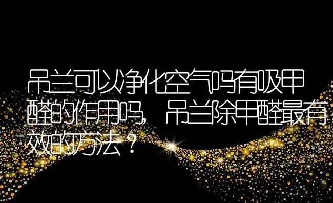 吊兰可以净化空气吗有吸甲醛的作用吗,吊兰除甲醛最有效的方法？ | 养殖科普