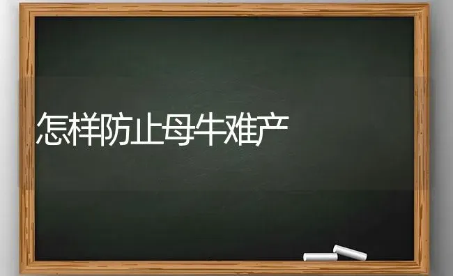 怎样防止母牛难产 | 养殖知识