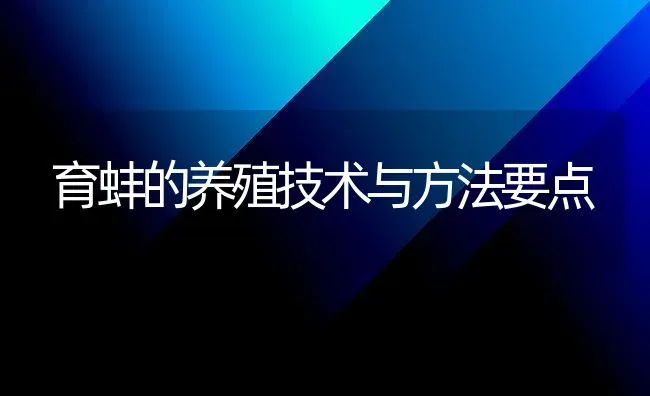 育蚌的养殖技术与方法要点 | 养殖知识