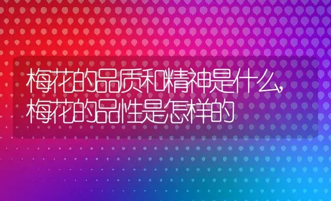 梅花的品质和精神是什么,梅花的品性是怎样的 | 养殖科普