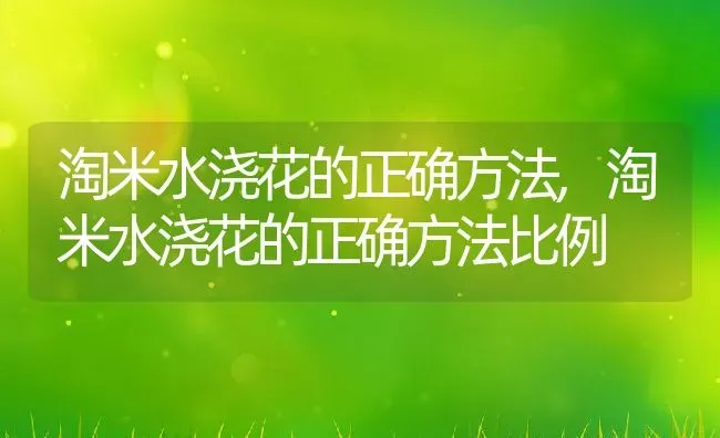 淘米水浇花的正确方法,淘米水浇花的正确方法比例 | 养殖科普