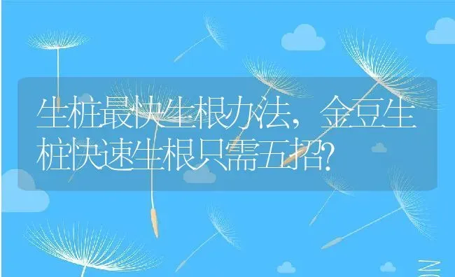 生桩最快生根办法,金豆生桩快速生根只需五招？ | 养殖科普