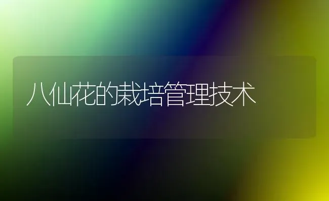 八仙花的栽培管理技术 | 养殖知识