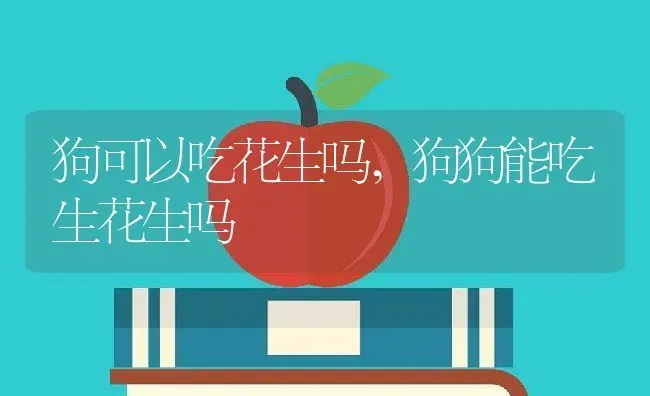 狗可以吃花生吗,狗狗能吃生花生吗 | 养殖学堂