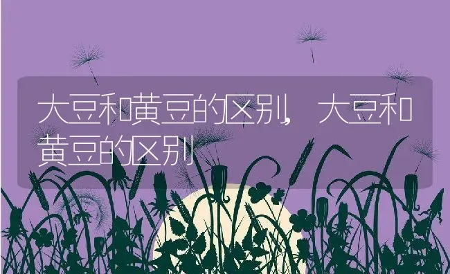 大豆和黄豆的区别,大豆和黄豆的区别 | 养殖科普