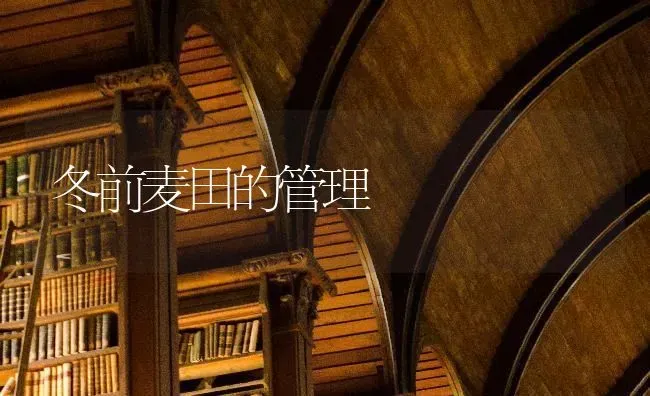 冬前麦田的管理 | 养殖技术大全