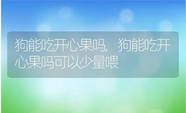 狗能吃开心果吗,狗能吃开心果吗可以少量喂 | 养殖资料