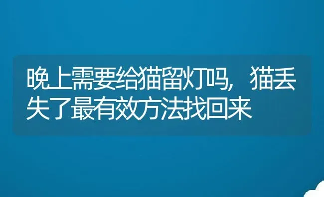 晚上需要给猫留灯吗,猫丢失了最有效方法找回来 | 养殖科普