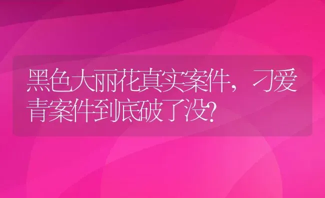 黑色大丽花真实案件,刁爱青案件到底破了没？ | 养殖科普