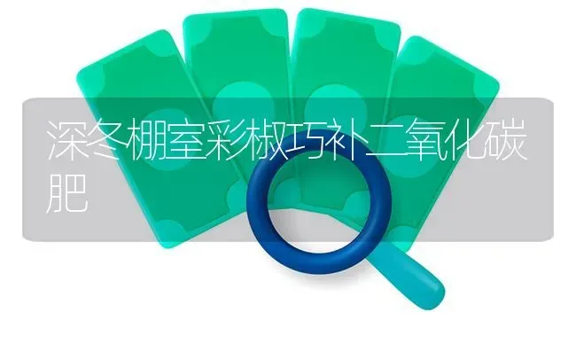 深冬棚室彩椒巧补二氧化碳肥 | 养殖知识