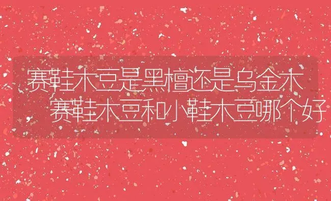 赛鞋木豆是黑檀还是乌金木,赛鞋木豆和小鞋木豆哪个好 | 养殖学堂