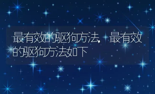 最有效的驱狗方法,最有效的驱狗方法如下 | 养殖学堂