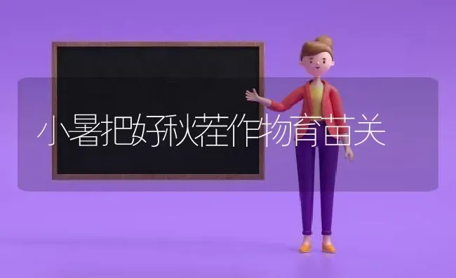 小暑把好秋茬作物育苗关 | 养殖技术大全