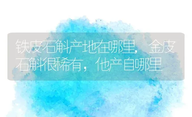 铁皮石斛产地在哪里,金皮石斛很稀有，他产自哪里 | 养殖学堂