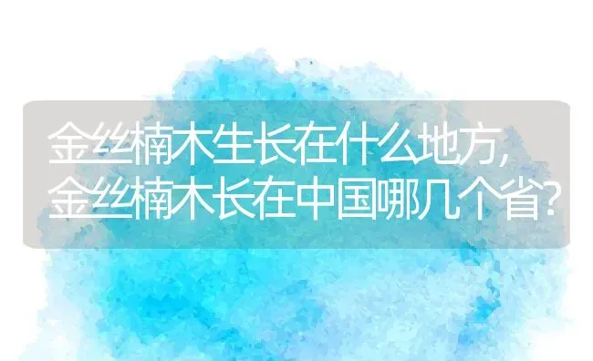 金丝楠木生长在什么地方,金丝楠木长在中国哪几个省？ | 养殖科普