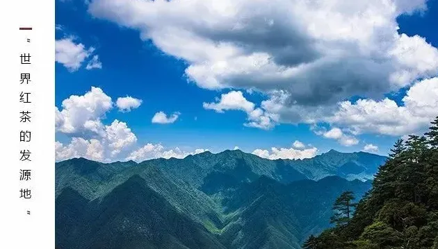 正山小种属于什么档次,大红袍金骏眉正山小种哪个好？