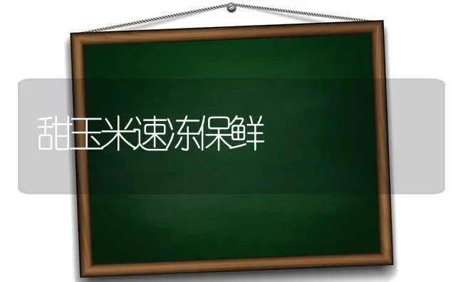 石榴品种---特大御石榴 | 养殖技术大全