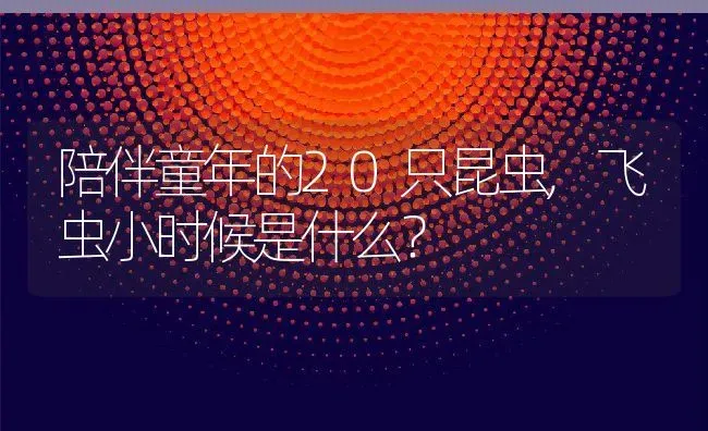 陪伴童年的20只昆虫,飞虫小时候是什么？ | 养殖科普