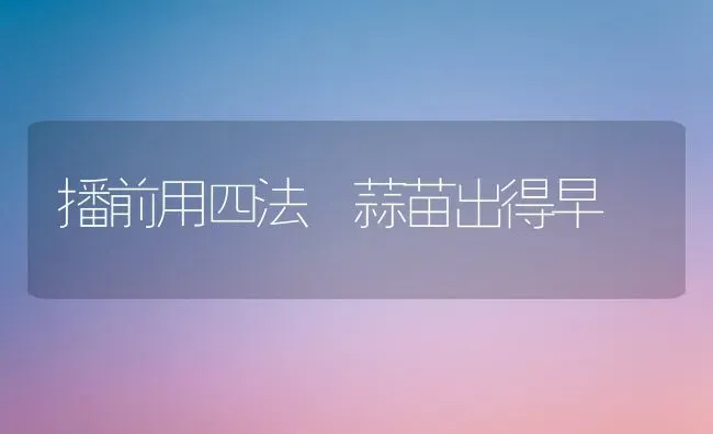 播前用四法 蒜苗出得早 | 养殖知识