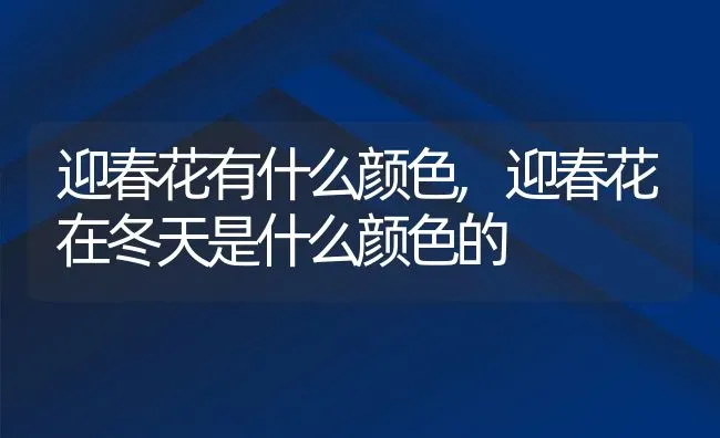 迎春花有什么颜色,迎春花在冬天是什么颜色的 | 养殖学堂